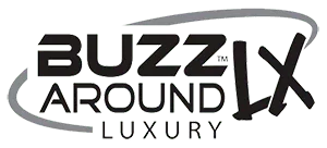 Buzzaround LX