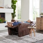 Golden Dione PR446 power lift recliner